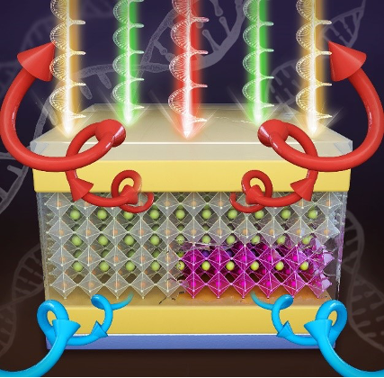 Advances in high performance circularly polarized light detection by ShanghaiTech