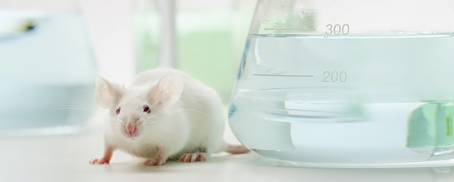 Information technology facilitates the management of experimental animals