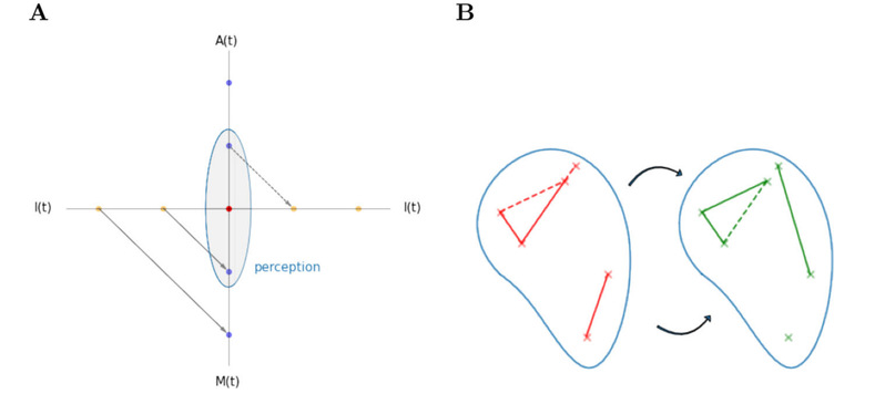 Mathematized phenomenology—A new path to exploring the science of consciousness