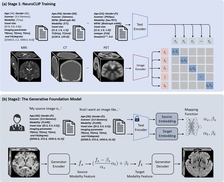 上科大生医工学院27篇论文入选 MICCAI 2025 