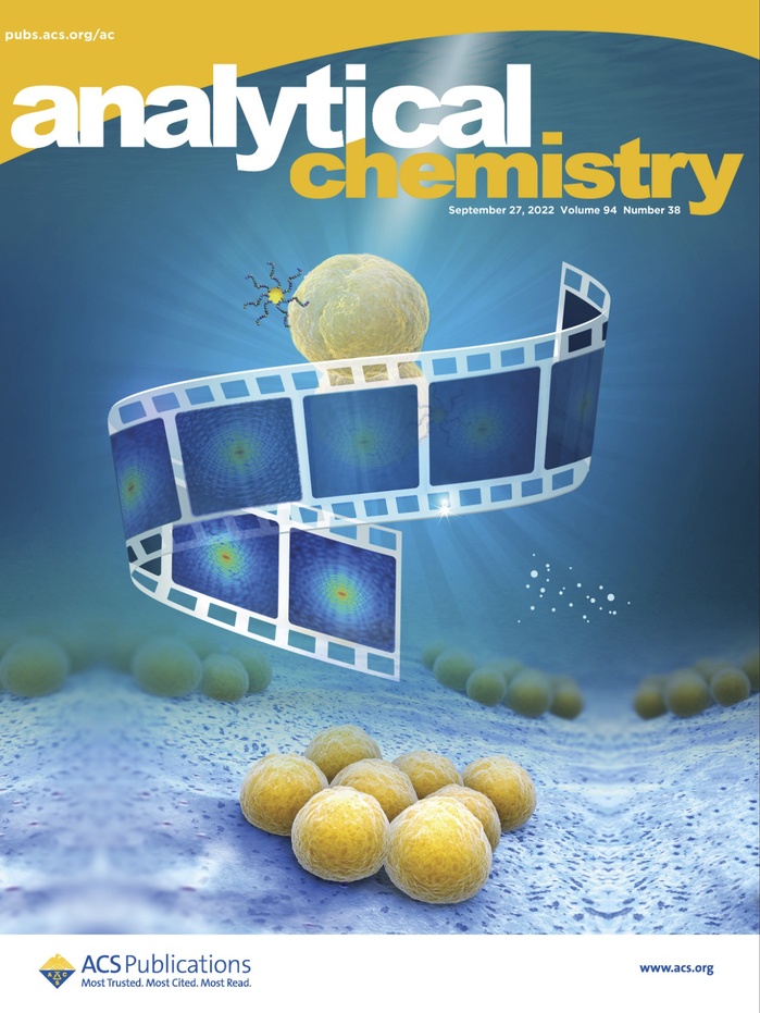 Progress made in the field of biological 3D quantitative imaging