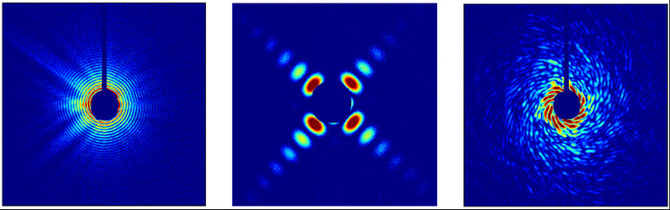 Shanghai-XFEL Beamline Project (SBP) and Shanghai Soft X-ray Free Electron Laser Facility (SXEFL) reach another milestone: First light and first data 