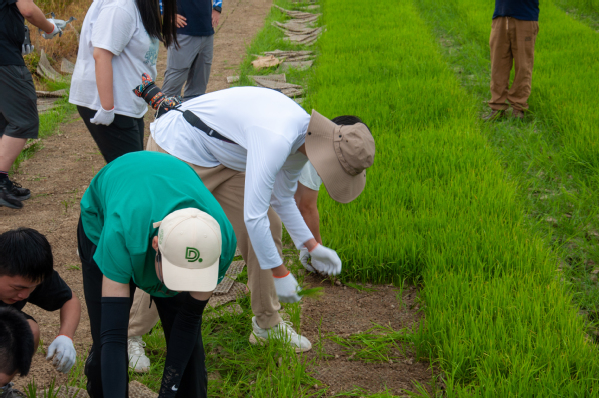 社会实践 | 安徽泾县实践团队在劳动中扎根，于实践中成长
