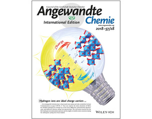 SPST Professor's Group Reports Novel Semiconductor Material