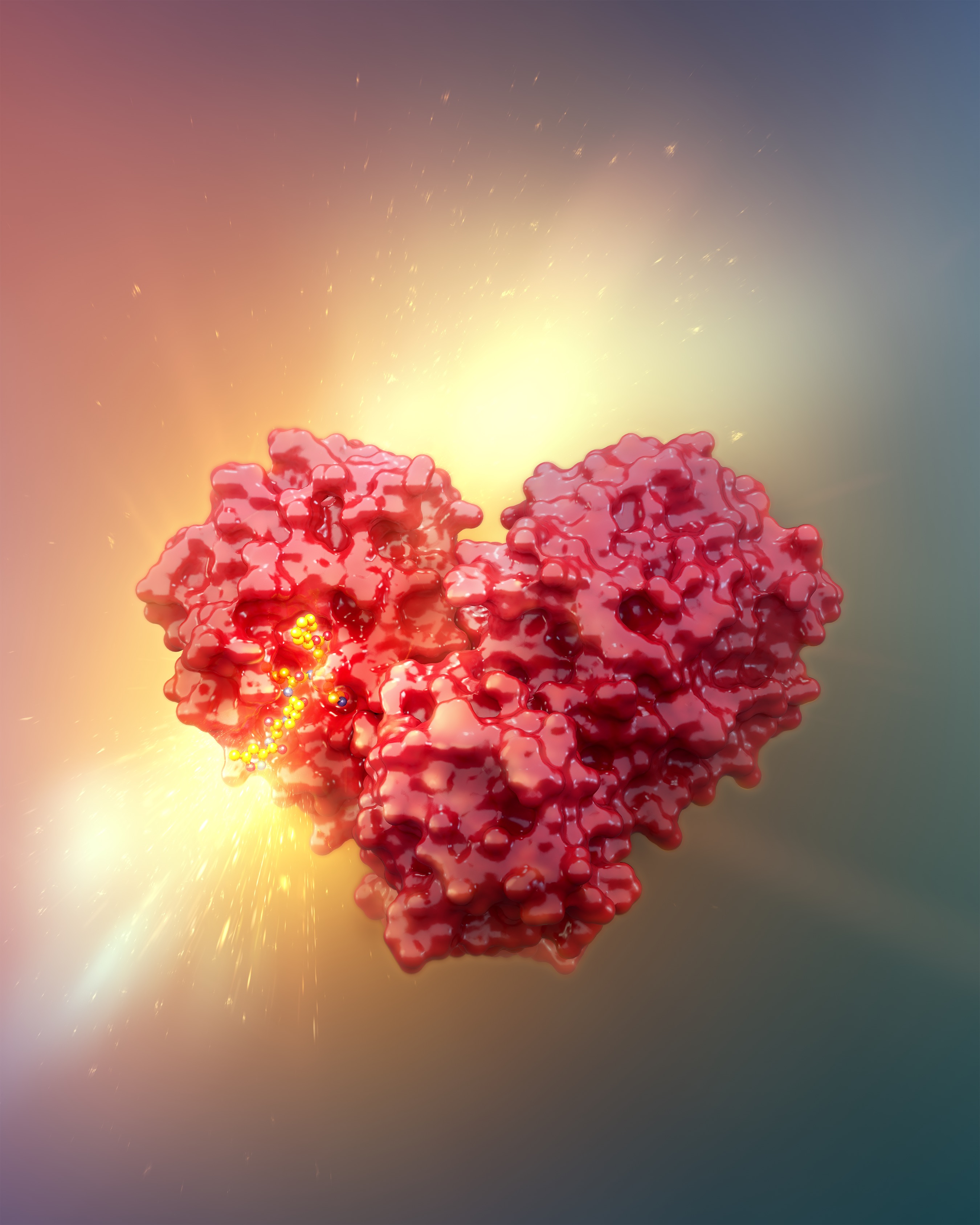 Immunochemical studies