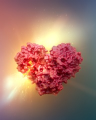 Immunochemical studies