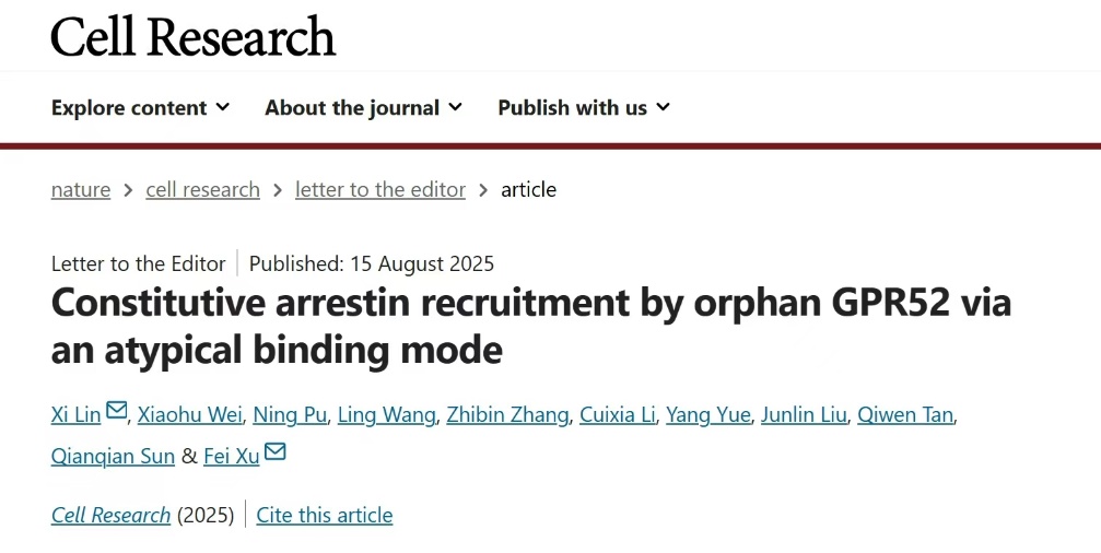 iHuman研究所徐菲课题组在孤儿受体研究中再次取得新突破