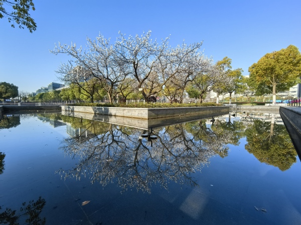 春天，在上科大，与美好不期而遇
