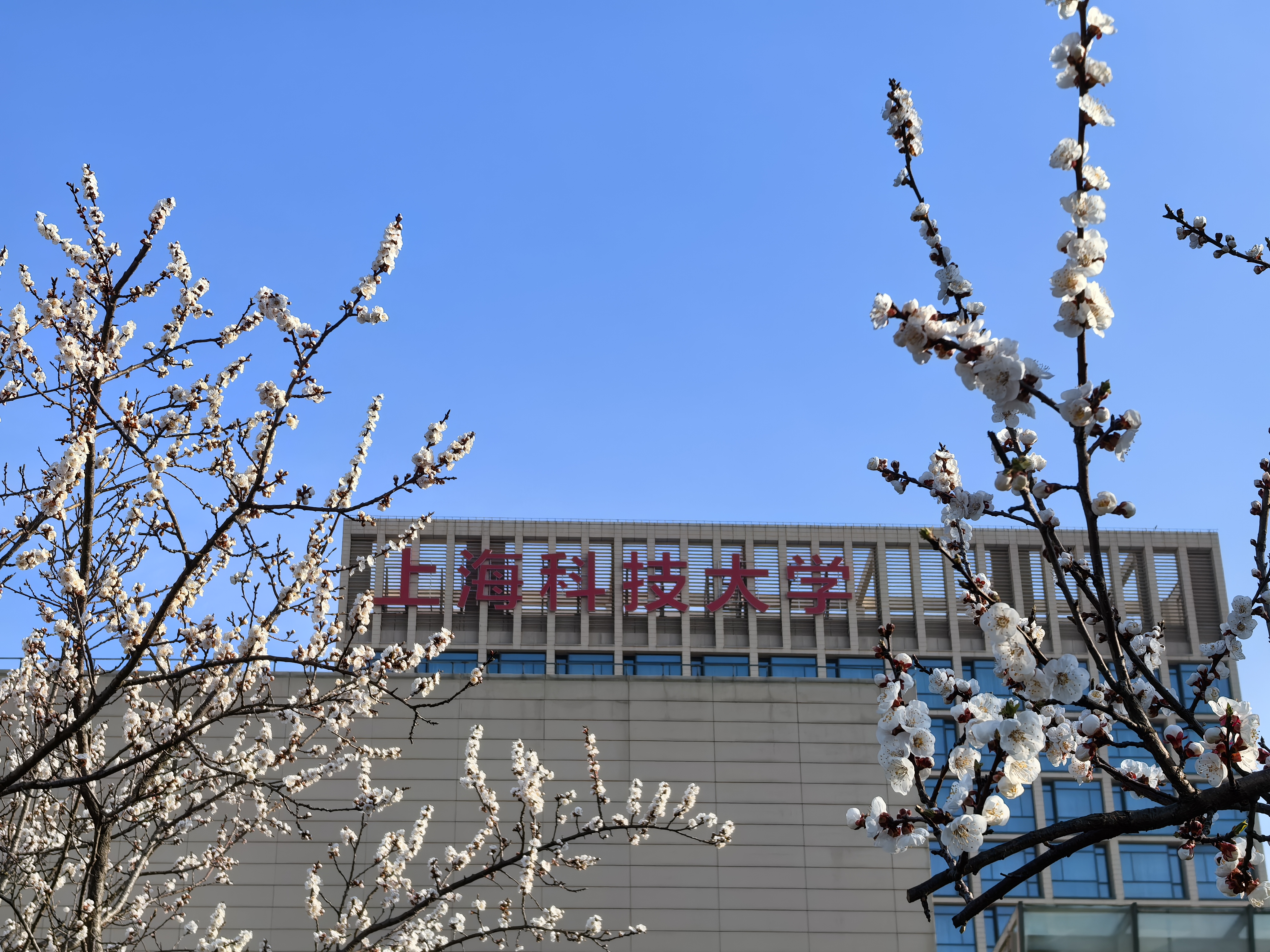 “沪”启未来 | 5月10日高校在沪招生咨询会在九游体育(www.jiuyou.com)官方网站举行