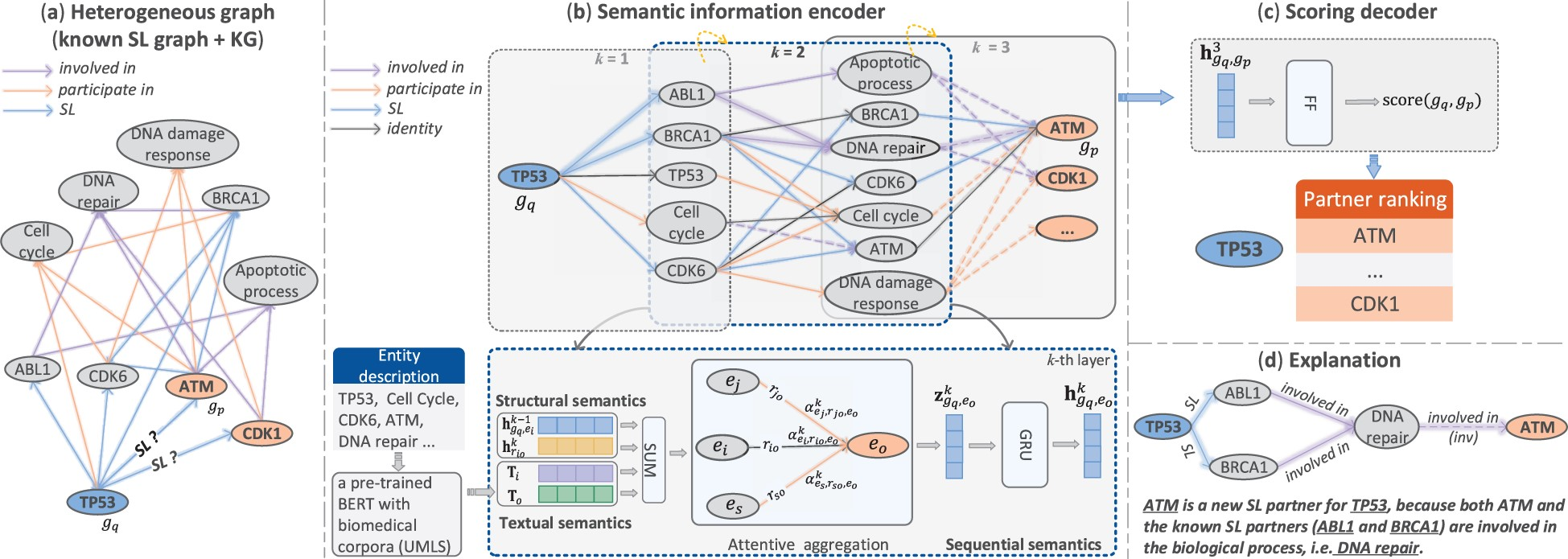 Explainable AI model for anti-cancer drug target discovery
