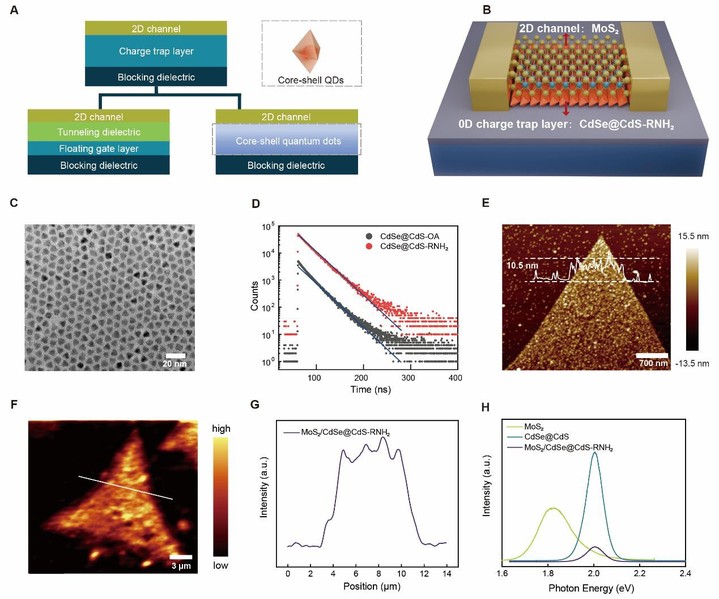 物质学院纪清清课题组与濮超丹课题组合作开发高性能混合维度存储器