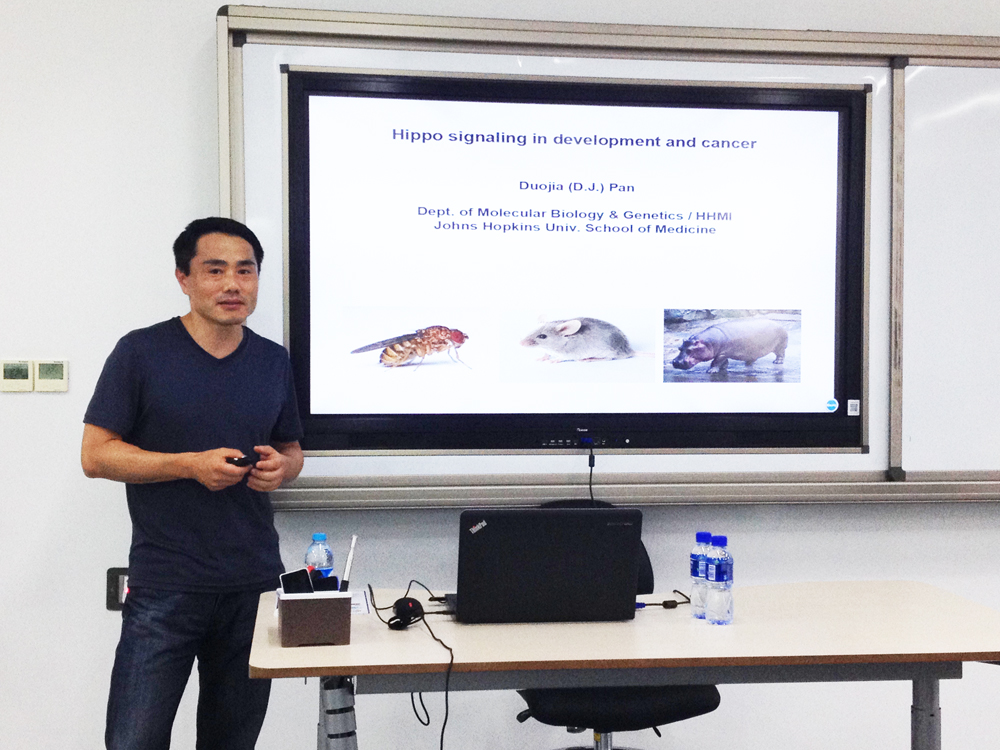 潘多佳：Hippo信号通路——器官生长和肿瘤生成