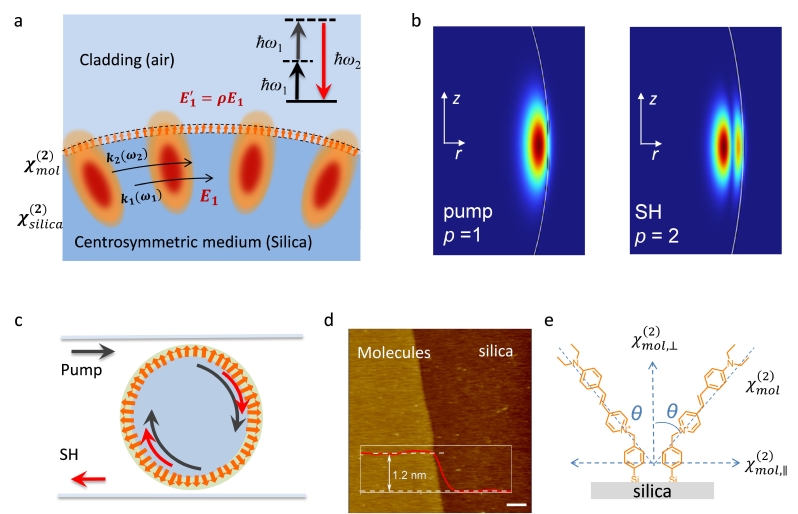 Ultra-thin molecular layer boosts silicon photonics efficiency