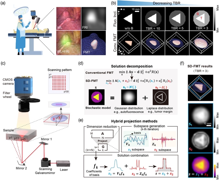 数理到光学的跨学科创新：“解分解”算法刷新荧光三维成像精度