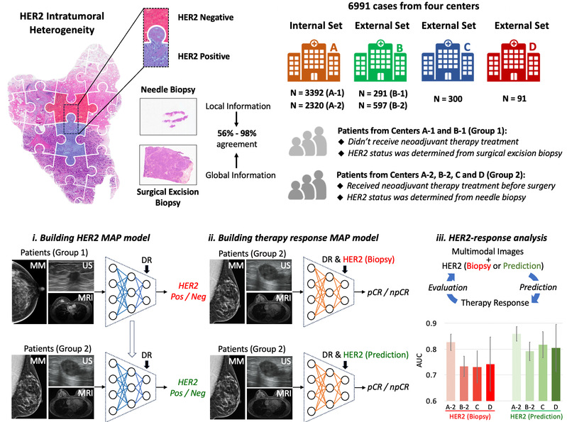生医工学院沈定刚课题组探索AI在乳腺癌诊断及新辅助疗效预测的应用潜力