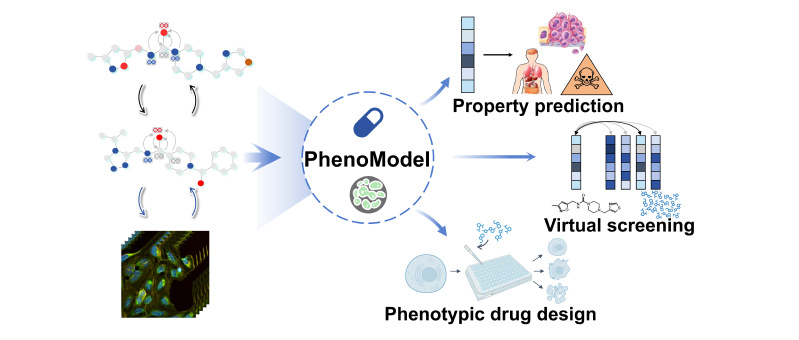 免化所白芳课题组与合作者开发表型驱动的多模态药物设计基座模型